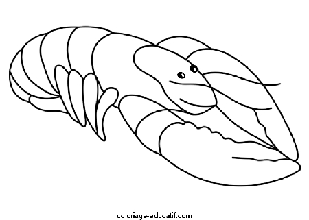 coloriagepoissons_13.gif