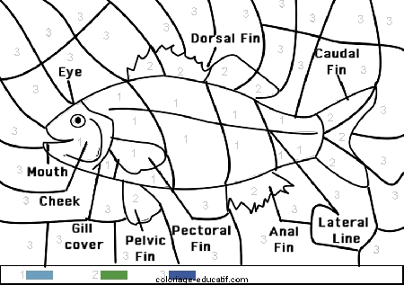 coloriagepoissons_25.gif