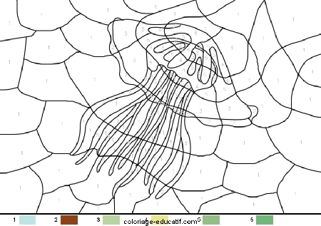 coloriagepoissons_36.gif
