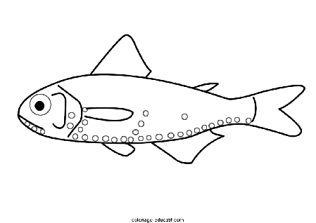 coloriagepoissons_37.GIF
