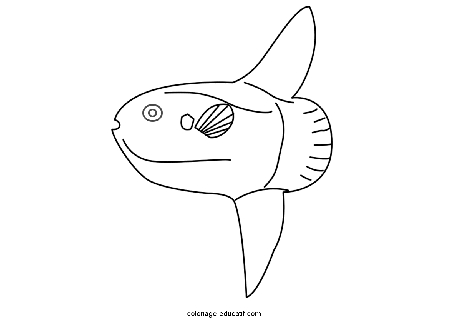 coloriagepoissons_43.GIF