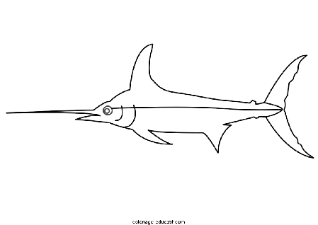 coloriagepoissons_45.GIF