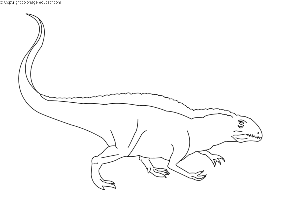 coloriagedinosaureacrocanthosaurus_a.gif