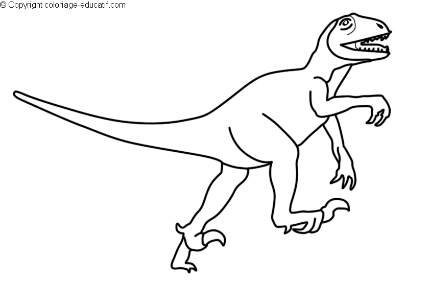 coloriagedinosaurecompsognathus.gif