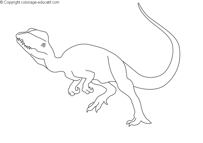 coloriagedinosauredilophosaurus.gif