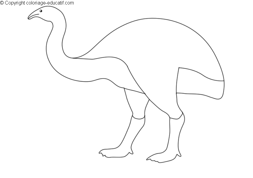 coloriagedinosauredinornis.gif