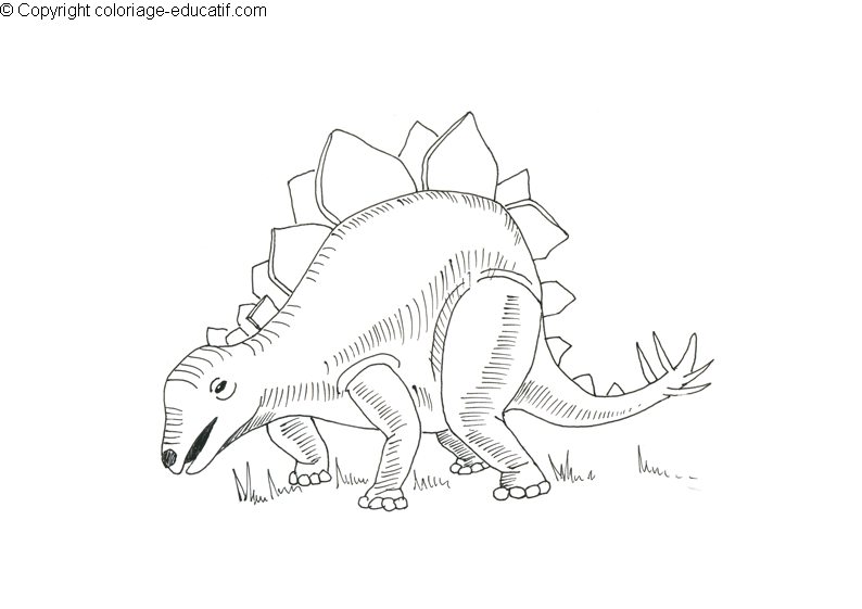 coloriagedinosauredinoserous-2-cb.gif