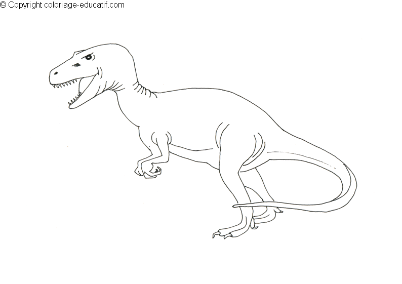 coloriagedinosauredinoserous-cb.gif