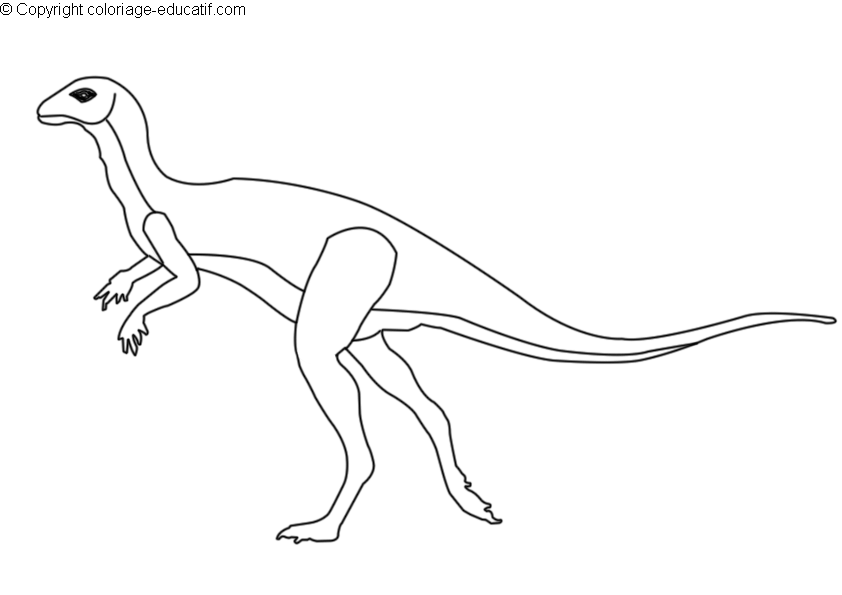 coloriagedinosaurehypsilophodon.gif