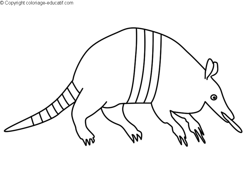 coloriagedinosaurenine-banded_armadillo.gif