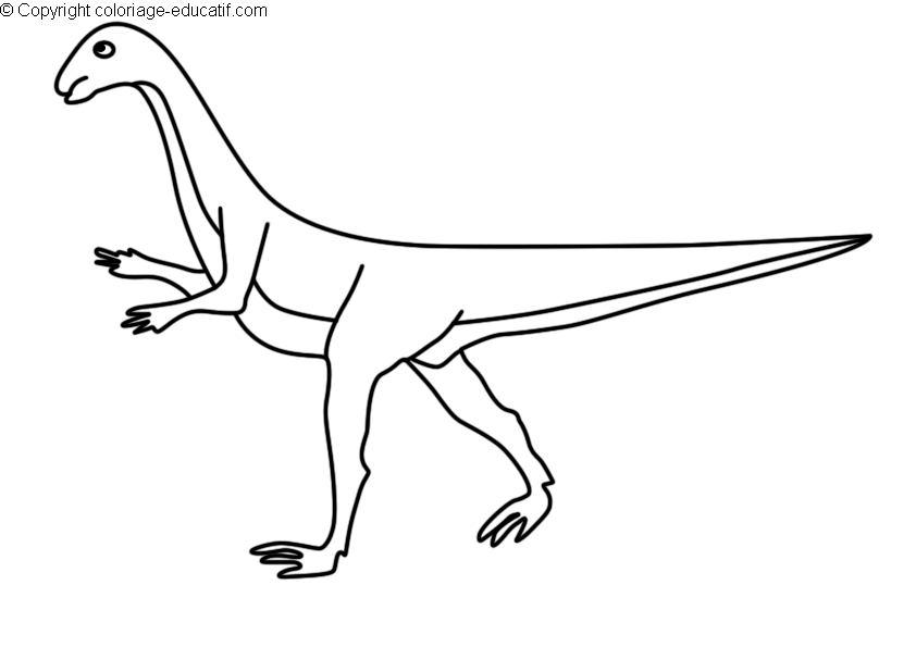 coloriagedinosaureornithomimus.gif
