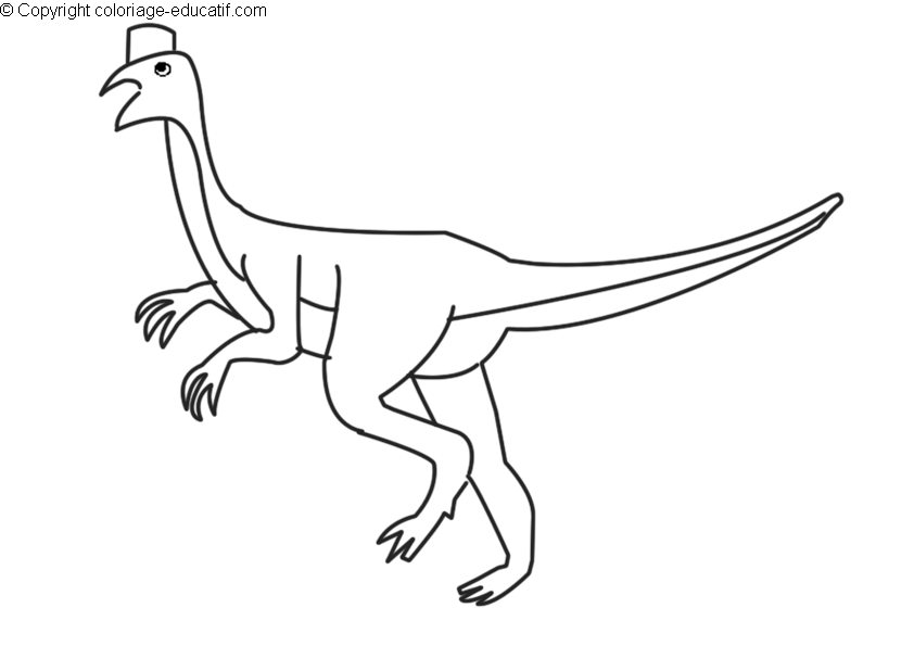 coloriagedinosaureoviraptor-b.gif