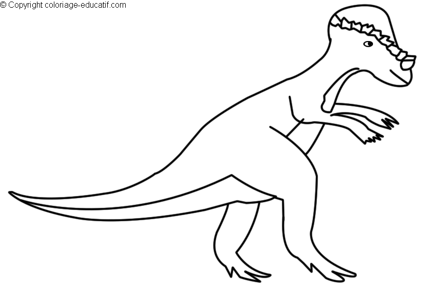 coloriagedinosaurepachycephalosaurus.gif