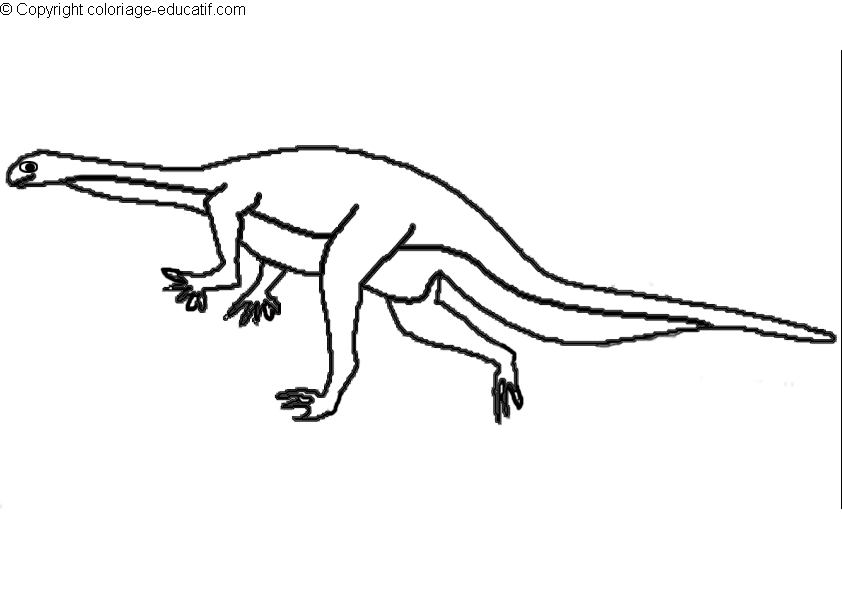 coloriagedinosaureplateosaurus.gif