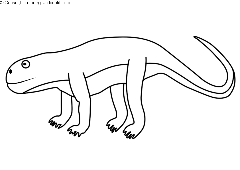 coloriagedinosaurepostosuchus.gif
