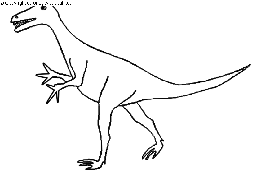 coloriagedinosauresaltopus.gif