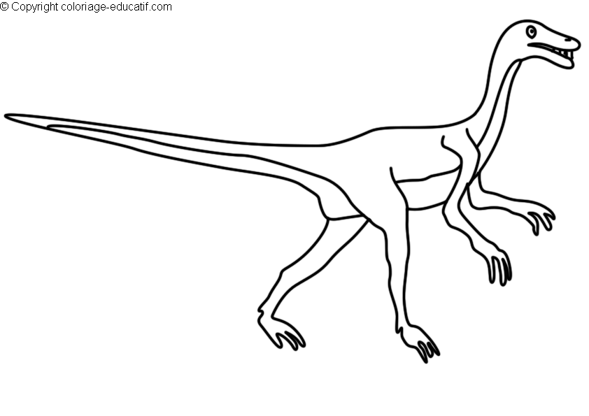 coloriagedinosauresegisaurus.gif