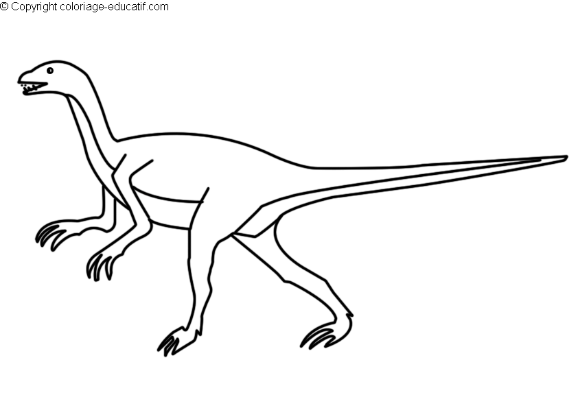 coloriagedinosauresegnosaurus.gif
