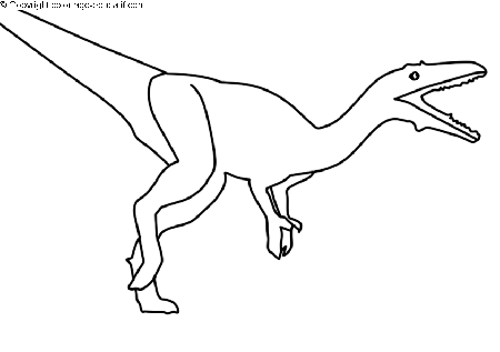 coloriagedinosaurecoelophysis.gif
