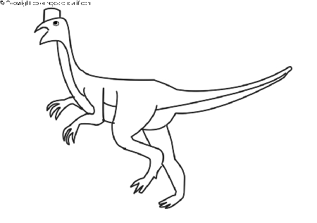 coloriagedinosaureoviraptor-b.gif