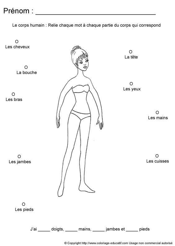 apprendrecorpshumain103.gif
