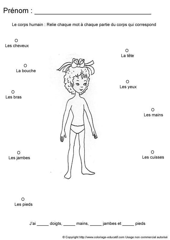 apprendrecorpshumain107.gif