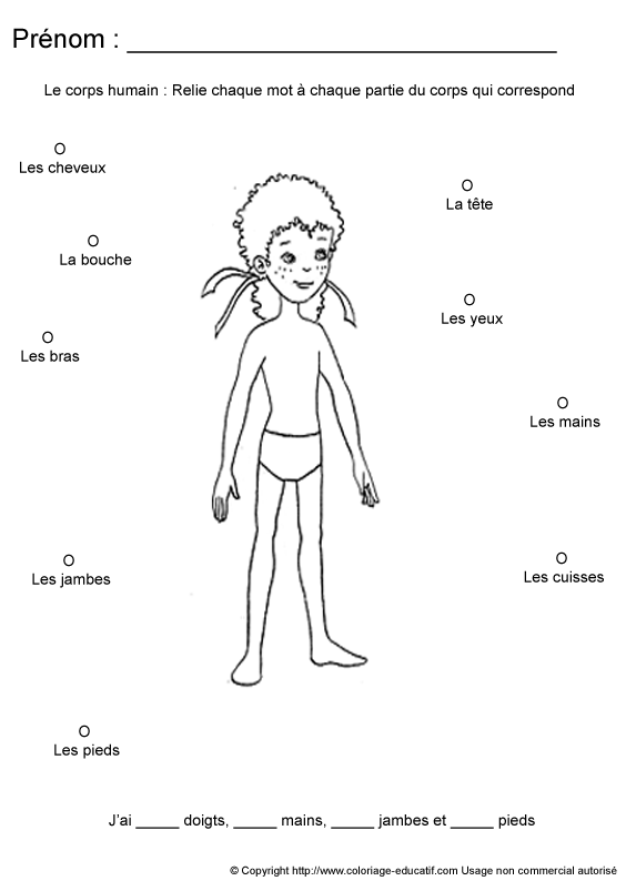 apprendrecorpshumain112.gif