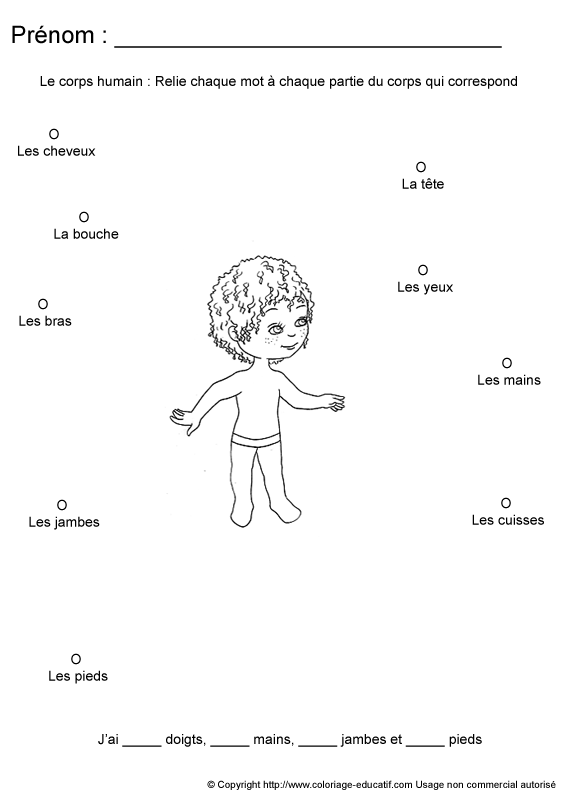 apprendrecorpshumain114.gif