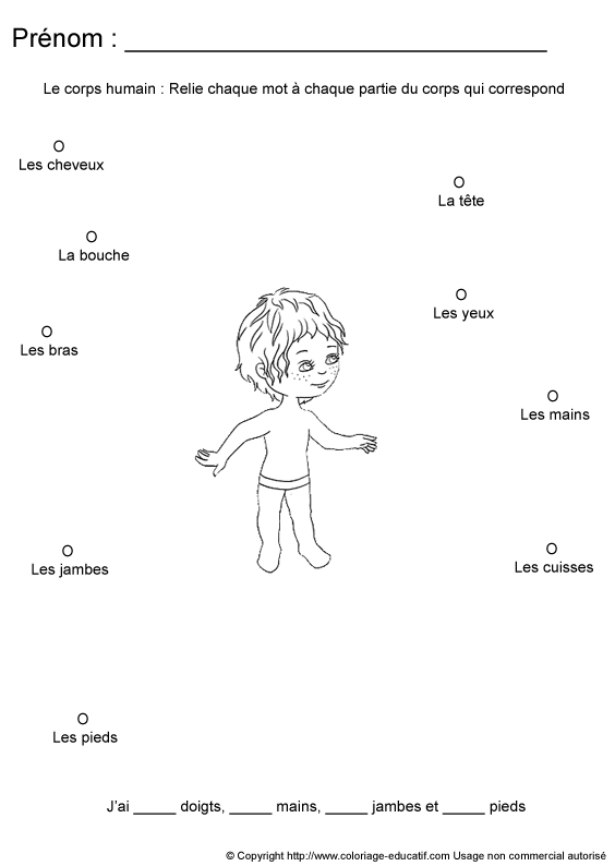 apprendrecorpshumain115.gif