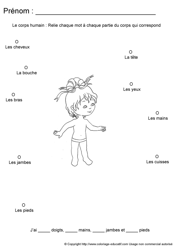 apprendrecorpshumain116.gif