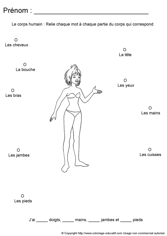 apprendrecorpshumain19.gif
