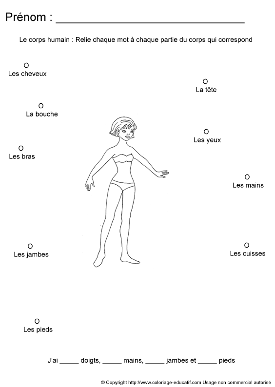 apprendrecorpshumain33.gif