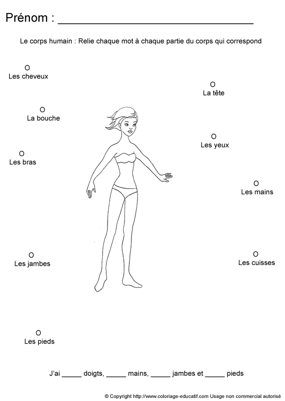 apprendrecorpshumain35.gif