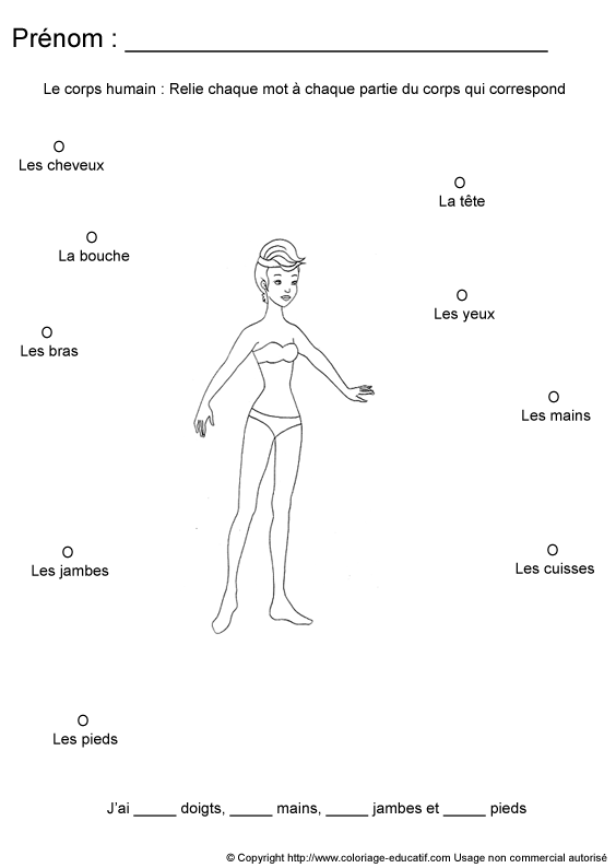 apprendrecorpshumain37.gif