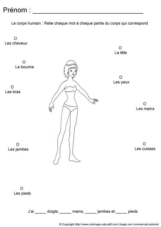 apprendrecorpshumain40.gif
