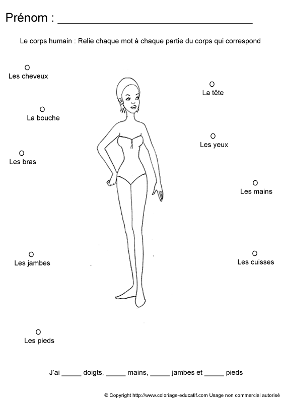 apprendrecorpshumain57.gif
