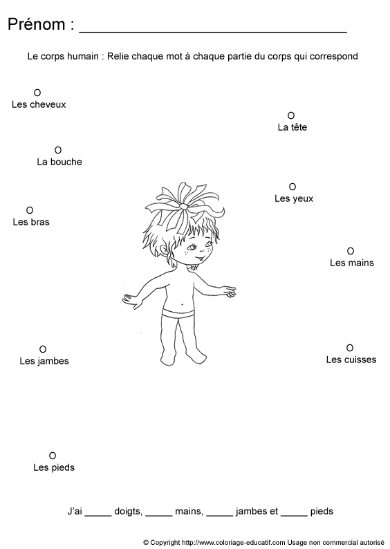 apprendrecorpshumain68.gif