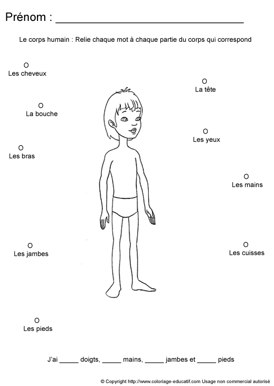 apprendrecorpshumain85.gif