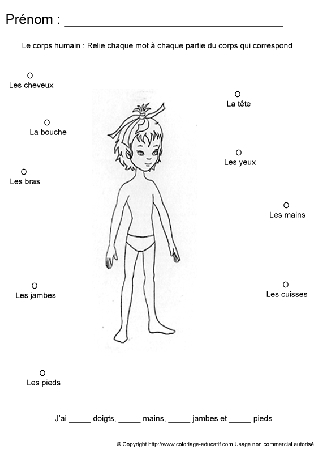 apprendrecorpshumain106.gif