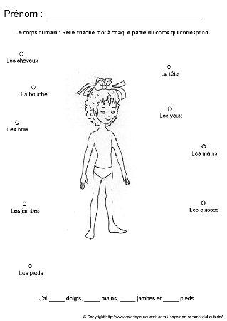 apprendrecorpshumain107.gif