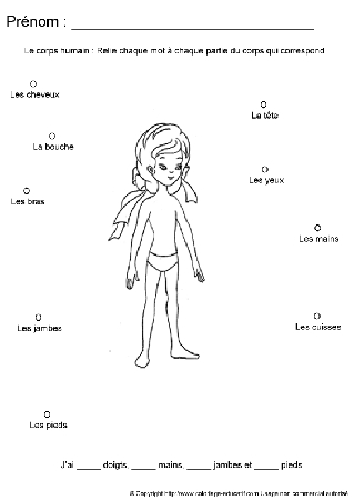 apprendrecorpshumain108.gif