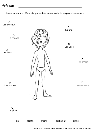 apprendrecorpshumain109.gif