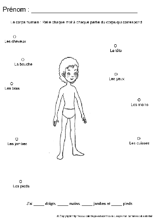 apprendrecorpshumain110.gif