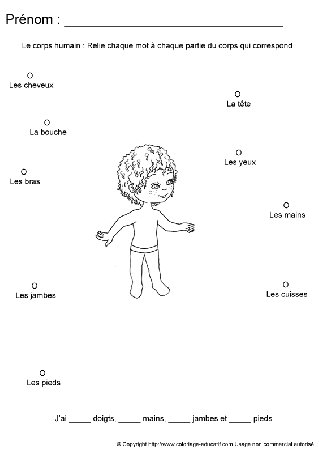 apprendrecorpshumain114.gif