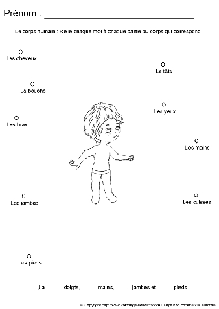 apprendrecorpshumain115.gif