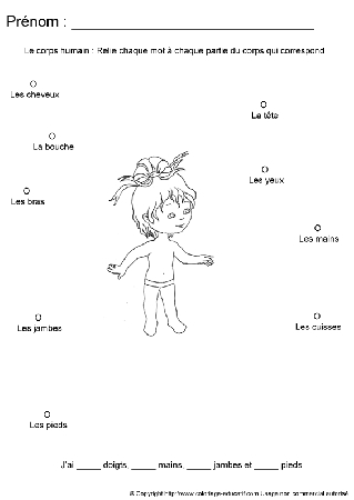apprendrecorpshumain116.gif
