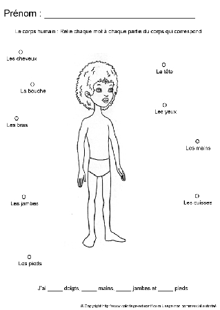 apprendrecorpshumain117.gif
