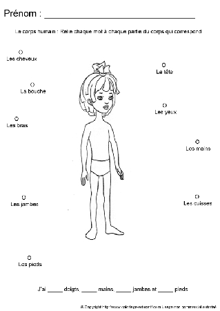 apprendrecorpshumain118.gif