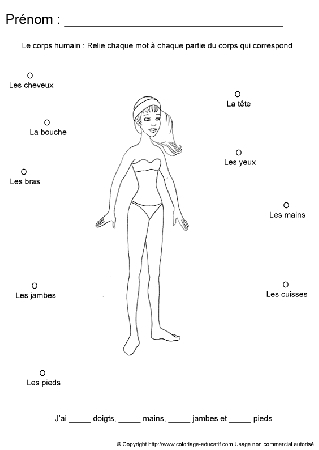 apprendrecorpshumain18.gif