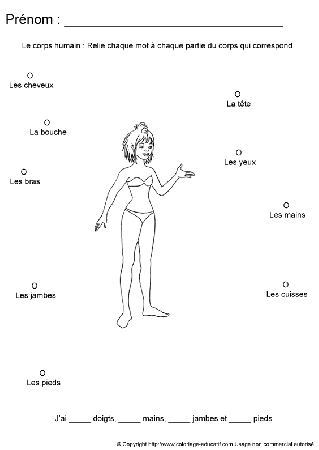 apprendrecorpshumain19.gif